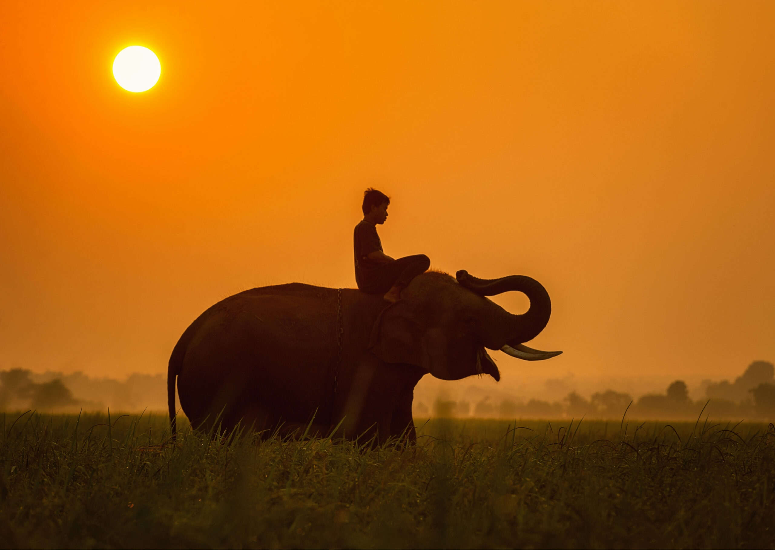 INDOCHINA DISCOVERY – VIETNAM, CAMBODIA & LAOS