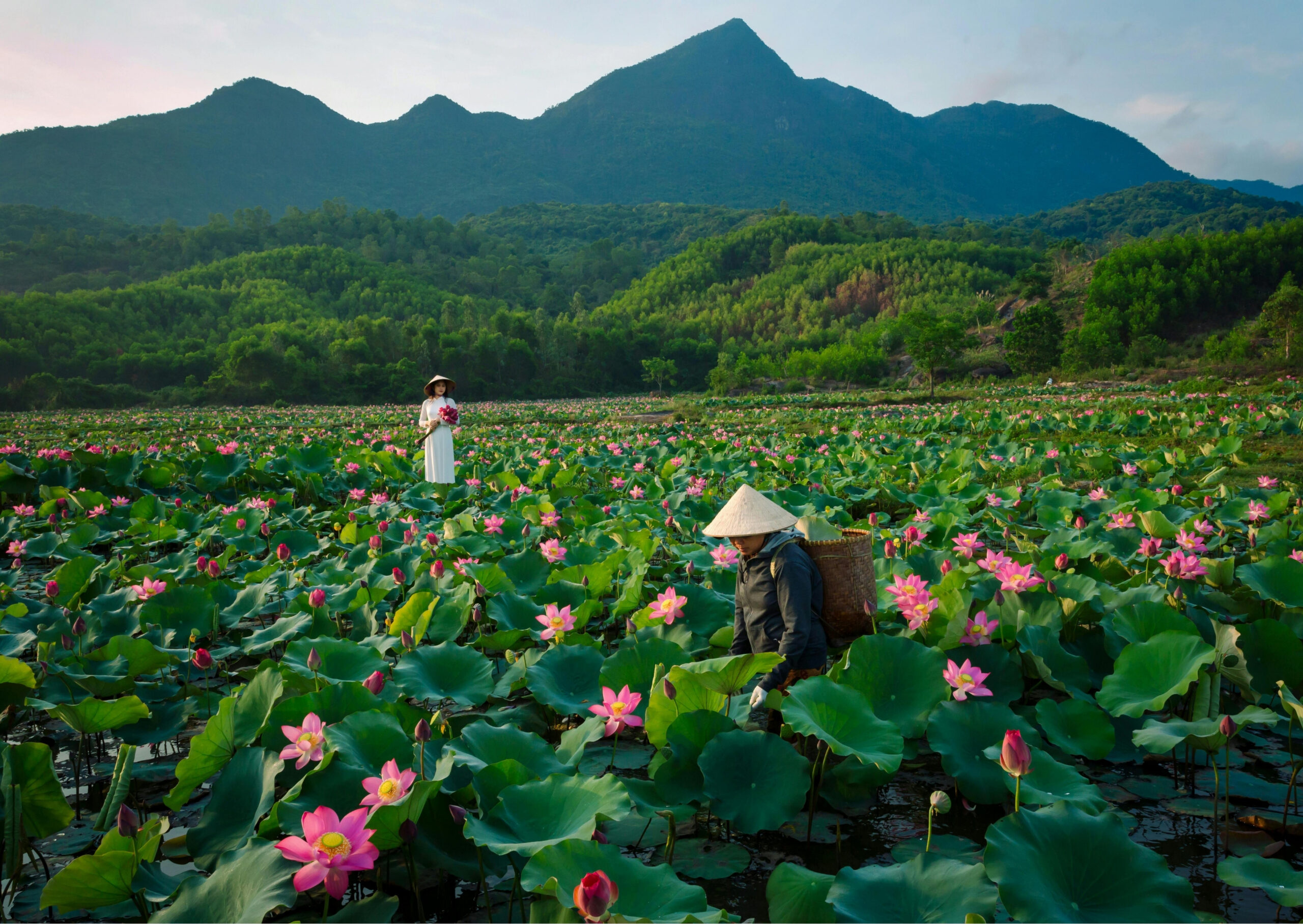 INDOCHINA DISCOVERY – VIETNAM, CAMBODIA & LAOS